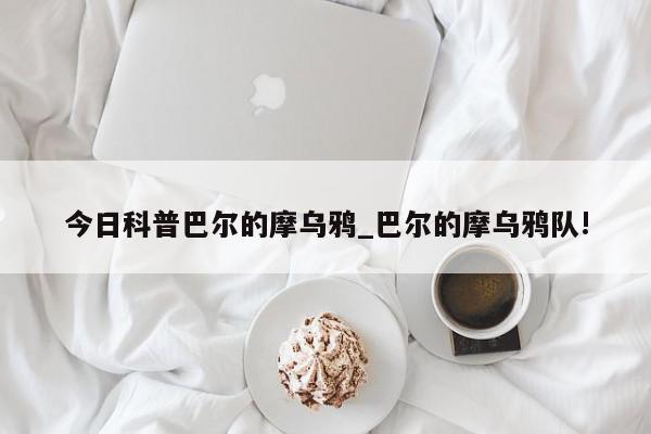 今日科普巴尔的摩乌鸦_巴尔的摩乌鸦队!